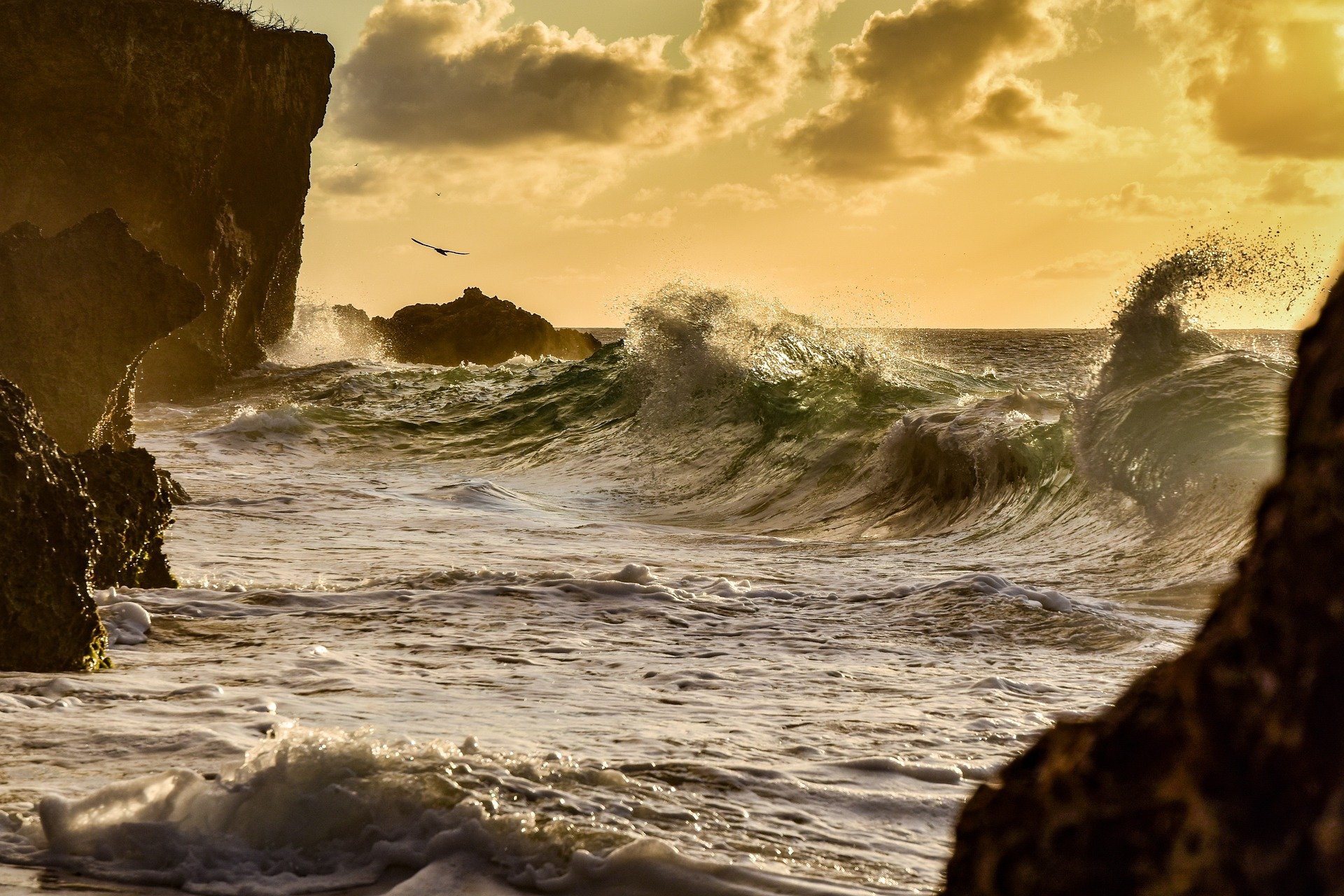 Curacao Waves