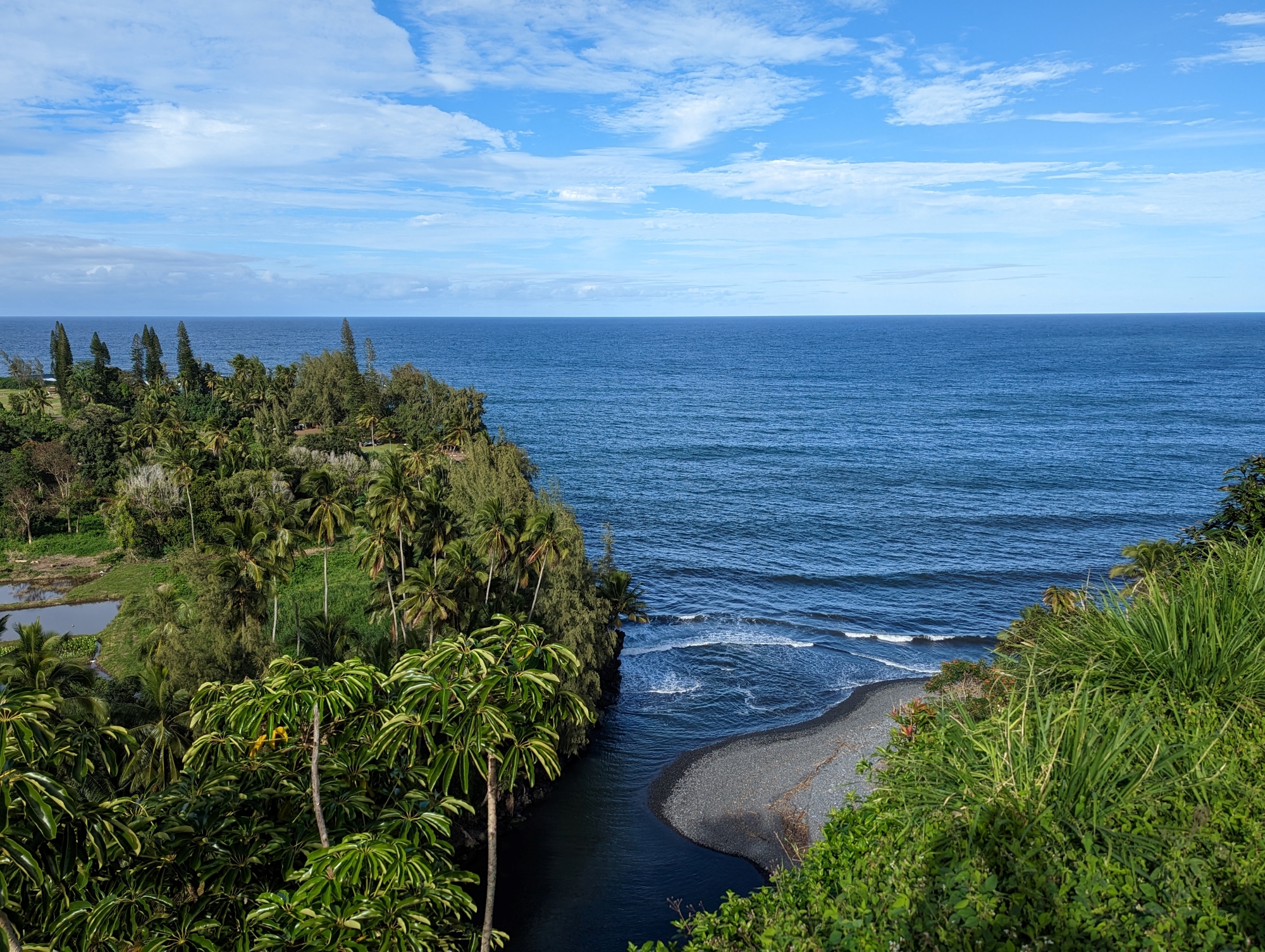 A picture of freshwater meeting the ocean near the town of Hana.